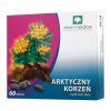 Arktische Wurzel Tabletten 60 Stk.