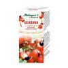 Guarana Kapseln 20 Stueck