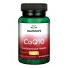 Swanson Coenzym Q10 100 mg Kapseln 100 Stueck