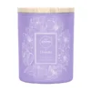 Aroma Home & Dorota Lavendel mit Zitronenkerze, 150 g