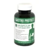 Gastro Protect, Kapseln, 80 Stk