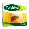 Terpichol Plus, Weichkapseln, 60 Stk.