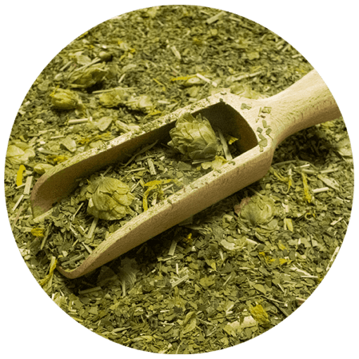 Yerbera Doze Verde Mate Green IPA 05 kg2