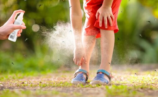 Sprühgerät, Aerosol gegen Zecken, Mücken